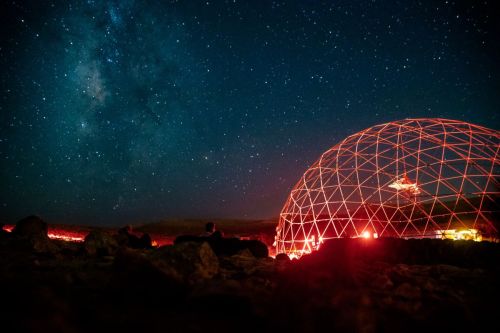 Alpacas Farm #001 23-25.2.23