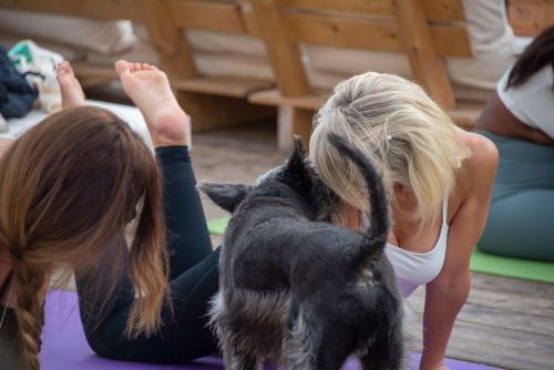 318314896 208322164944752 6886399290864408400 n 208322168278085