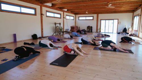 padme alpaca edited-030