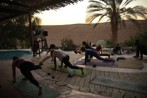 Yoga Shaharut Feb' 2025